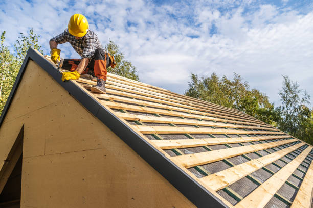 Best Roof Gutter Cleaning  in Franklin Park, IL